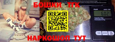 крисы Абакан