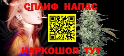 крисы Абакан
