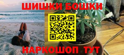 крисы Абакан