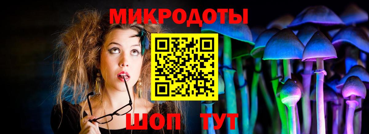 Псилоцибиновые грибы Psilocybe Анапа